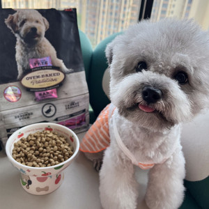 小芋圆吃的狗粮欧恩焙鸭肉小颗粒