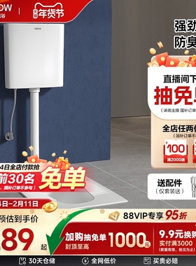 箭牌蹲便器蹲坑水箱家用蹲便器卫生间便盆便池防臭大冲力蹲厕节水