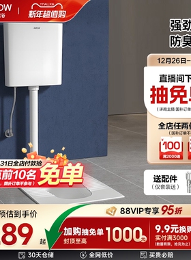 箭牌蹲便器蹲坑水箱家用蹲便器卫生间便盆便池防臭大冲力蹲厕节水