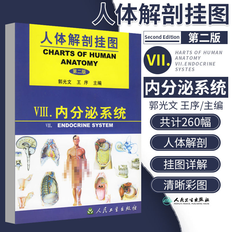 人体解剖挂图内分泌系统 4幅 本版挂图仍对某些内容采用一图多用的方法予以展示郭光文主编 人民卫生出版社 问静图书专营店