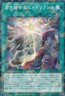 游戏王 DBSS/TT01 白化宿命之黄金国永生药 N/NPR 日文/简中