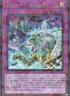 [苍之神话]游戏王 SD40/TW01 三叉龙的鼓动 N/NPR/SPR/SEPR 日版