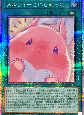 游戏王 1109/QCCU 童话动物对视游戏 N/SR/SER/QCSER 日文 日版