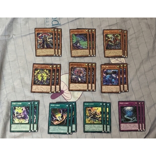 1302 游戏王 1303 绚岚套装 日版 日文 苍之神话