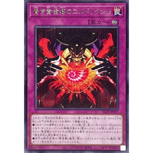 游戏王 1208 ALIN 贵华黄金乡之黄金国永生药 R 日文 日版