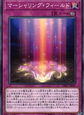 [苍之神话]游戏王 DBIC 盾徽配列场 N/NPR 日文 日版