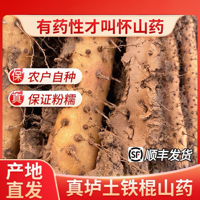 【顺丰包邮】正宗河南焦作温县铁棍山药5斤新鲜整箱58-60cm超大果