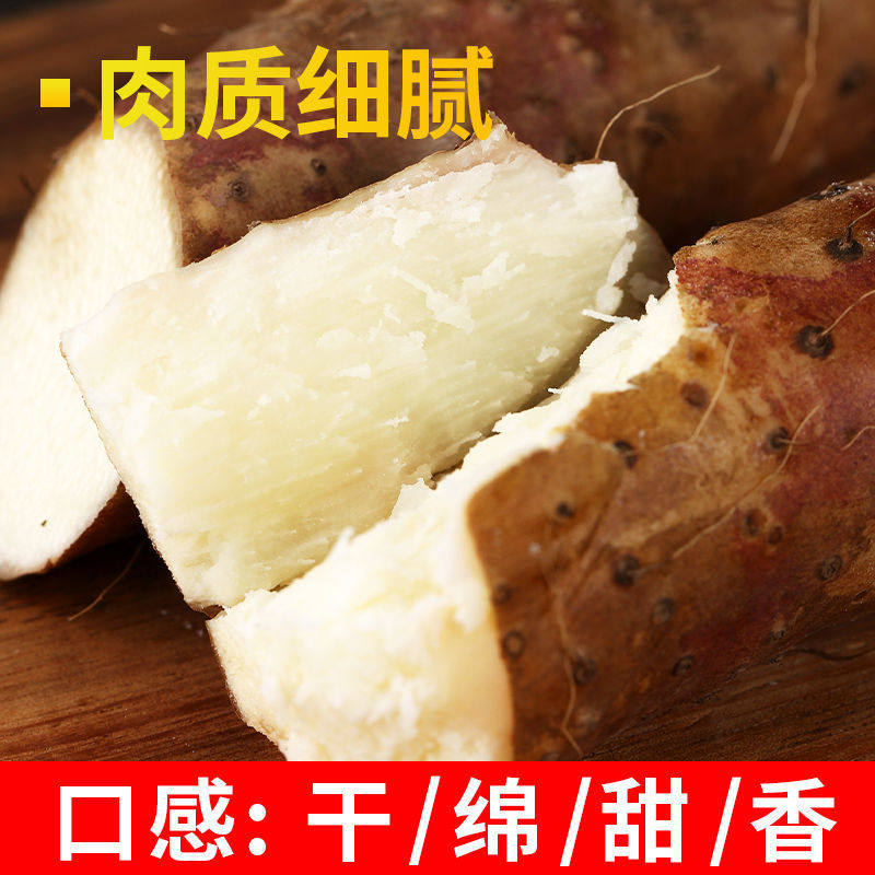 【顺丰包邮】正宗河南焦作温县铁棍山药5斤新鲜整箱58-60cm超大果