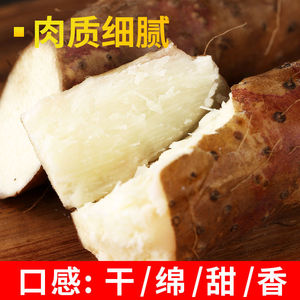 顺丰包邮温县铁棍山药5斤新鲜