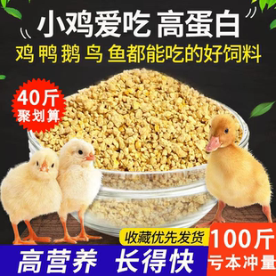 新日期 厂家直销20斤鸡饲料小鸡开口料鸡鸭鹅饲料育肥产蛋鸡料