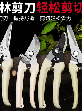 园艺剪修枝剪花剪园林剪花艺剪剪树枝果树剪刀枝剪修剪花卉剪子