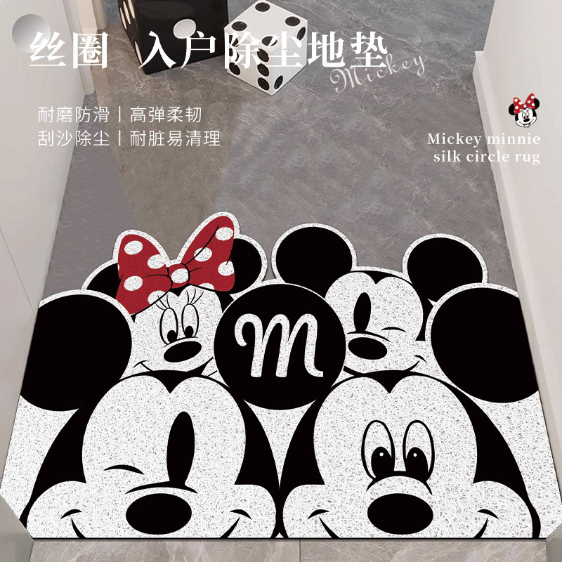 普尼邦丝圈入户地毯可裁剪