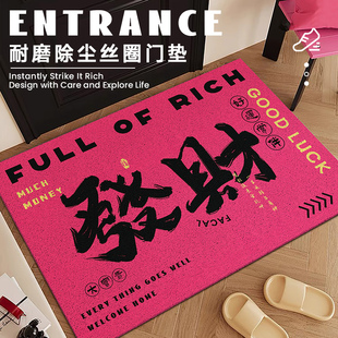 创意丝圈入户门地垫发财脚垫大门口玄关地毯可裁剪防滑除尘红门垫
