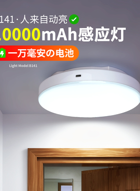 入户门雷达感应灯人来即亮玄关走廊过道阳台免布线打孔充电吸顶灯