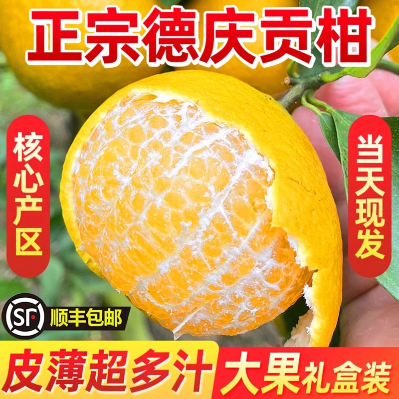 正宗德庆皇帝柑新鲜贡柑广东当季水果大10斤礼盒甜橘子5现摘批发,水产肉类/新鲜蔬果/熟食,桔子,淘宝优惠券,粉丝福利购,淘宝优惠卷