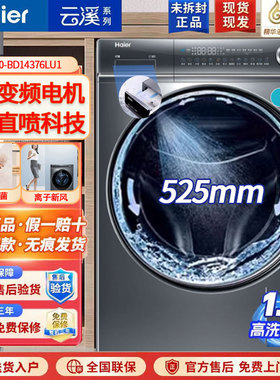 Haier/海尔 XQG100-BD14376LU1