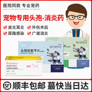 宠物狗猫咪用消炎药头孢羟氨苄脓皮症猫咪感冒外伤消炎药抗菌真菌