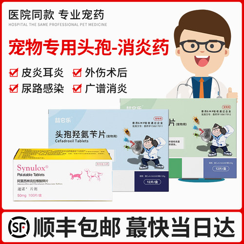 狗狗猫咪头孢消炎抗菌杀菌皮炎