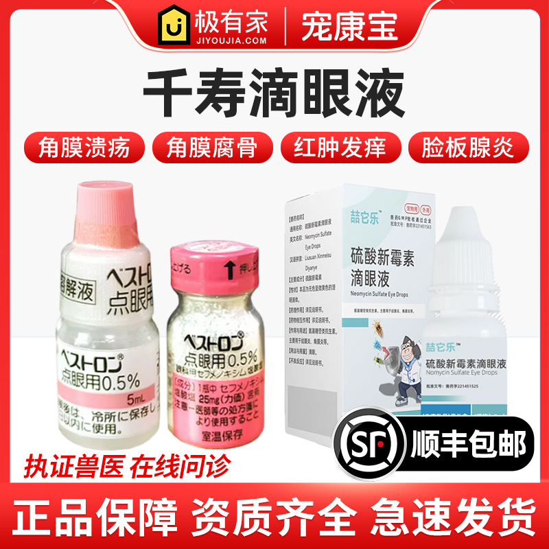 日本千寿滴眼液结膜炎结膜炎鼻支