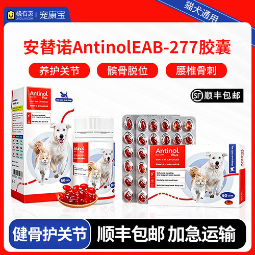 安替诺Antinol277软骨素髌骨脱位猫狗通用润滑关节腰椎骨刺安它诺