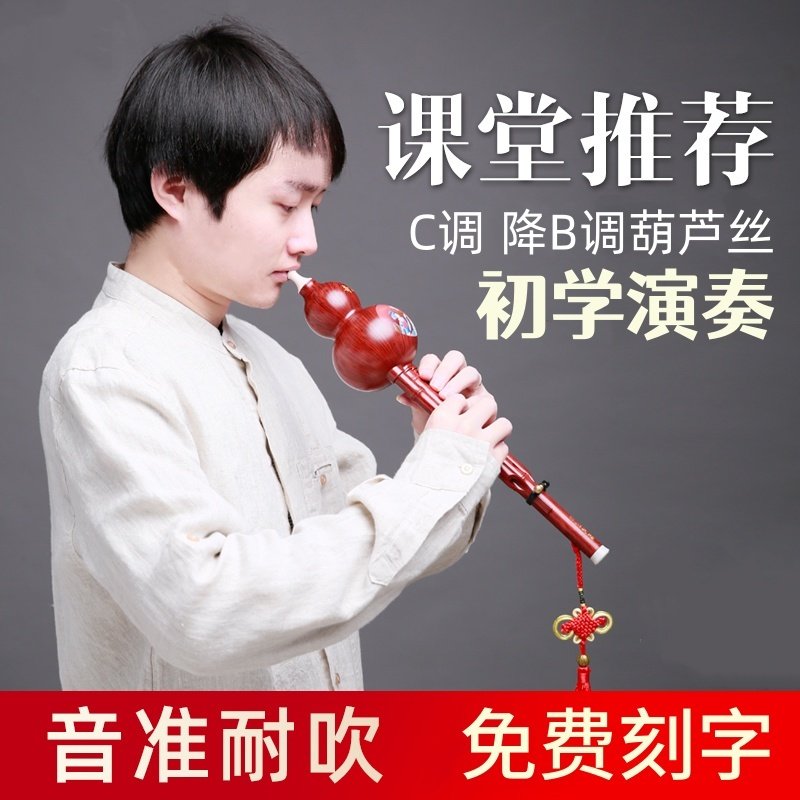 奇美葫芦丝乐器C调降B调初学入门中小学生成人专业演奏型仿木耐摔