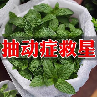 【200%痊愈】抽动症儿童泡脚包治小儿多动症眨眼注意力不集中专用