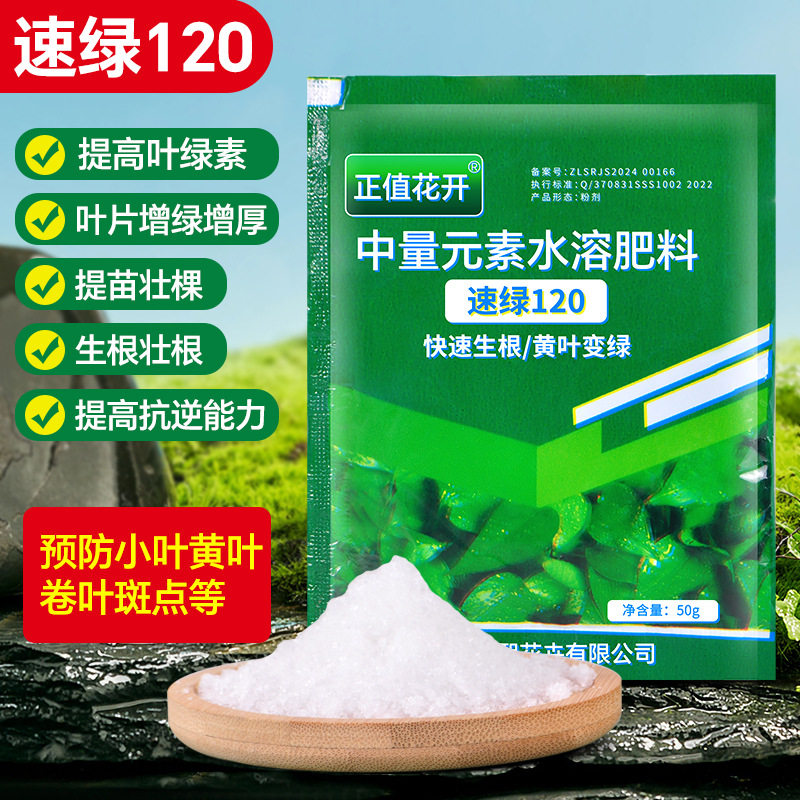 【下单立减50】速绿120叶面肥通用型黄叶一喷绿真品中量元素_XJ