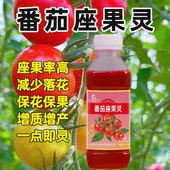 番茄专用座果灵坐果灵点花小西红柿喷花授粉保花保果落果防裂药
