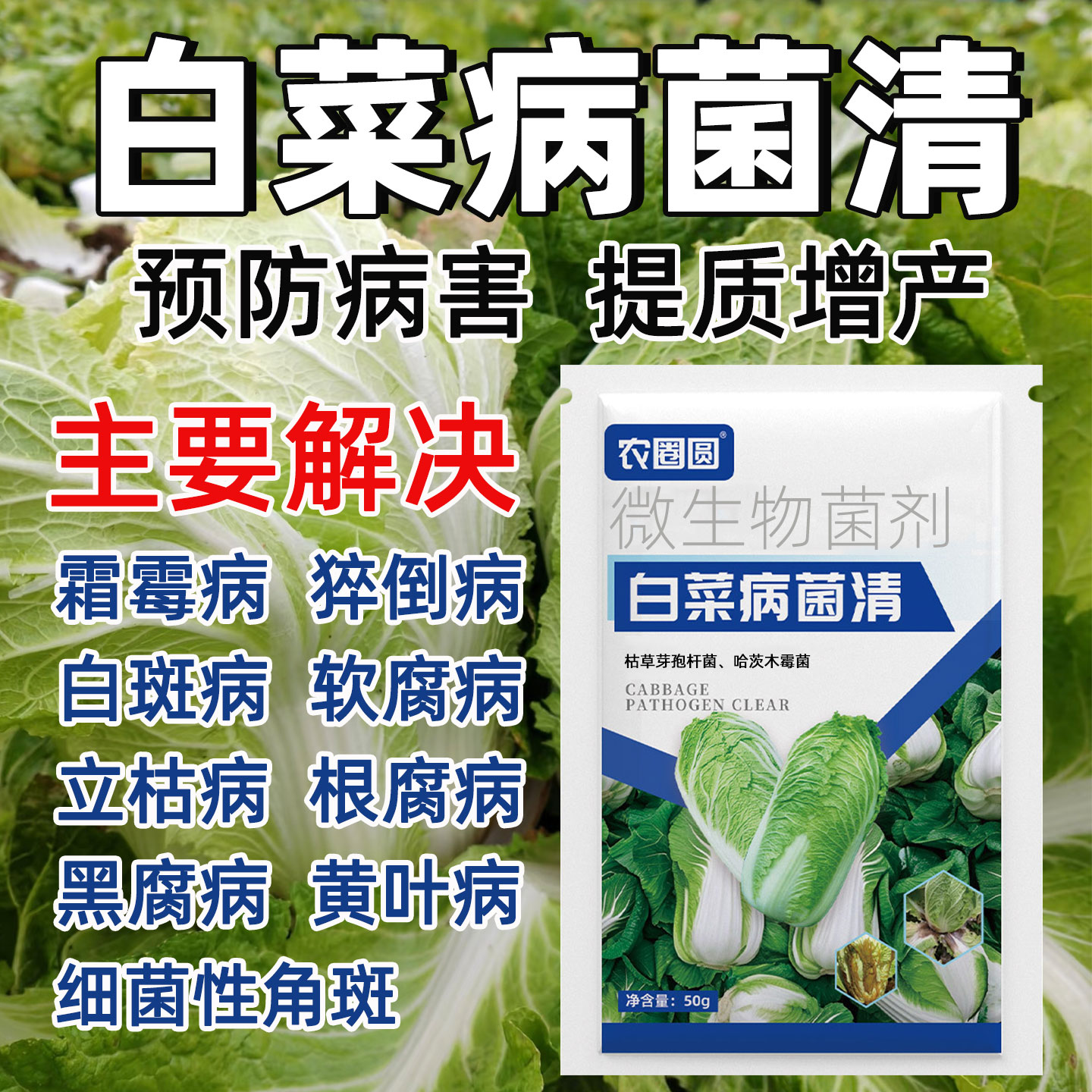 白菜病菌清大白菜烂心烂根软腐专用药正品菌立清杀菌剂微生物菌剂