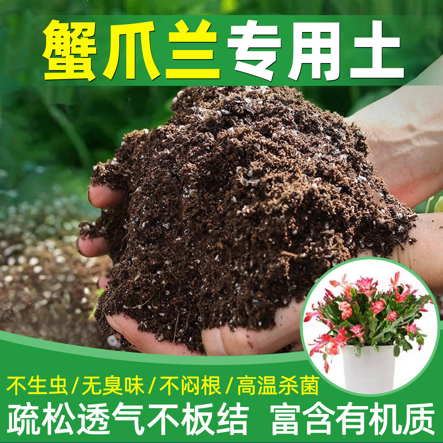 种蟹爪兰专用土花土蟹爪莲营养土开花专用肥蟹脚兰盆栽蟹甲兰土图片