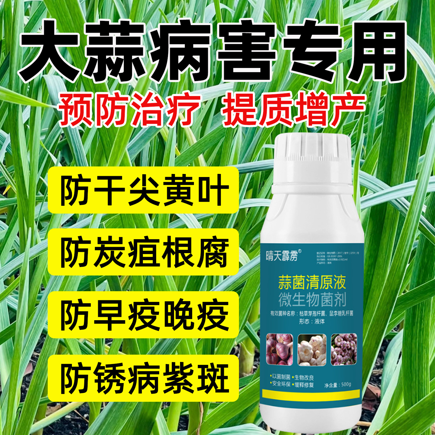 大蒜专用药蒜菌清原液蒜菌净葱姜蒜叶枯根腐病锈病黄叶微生物菌剂