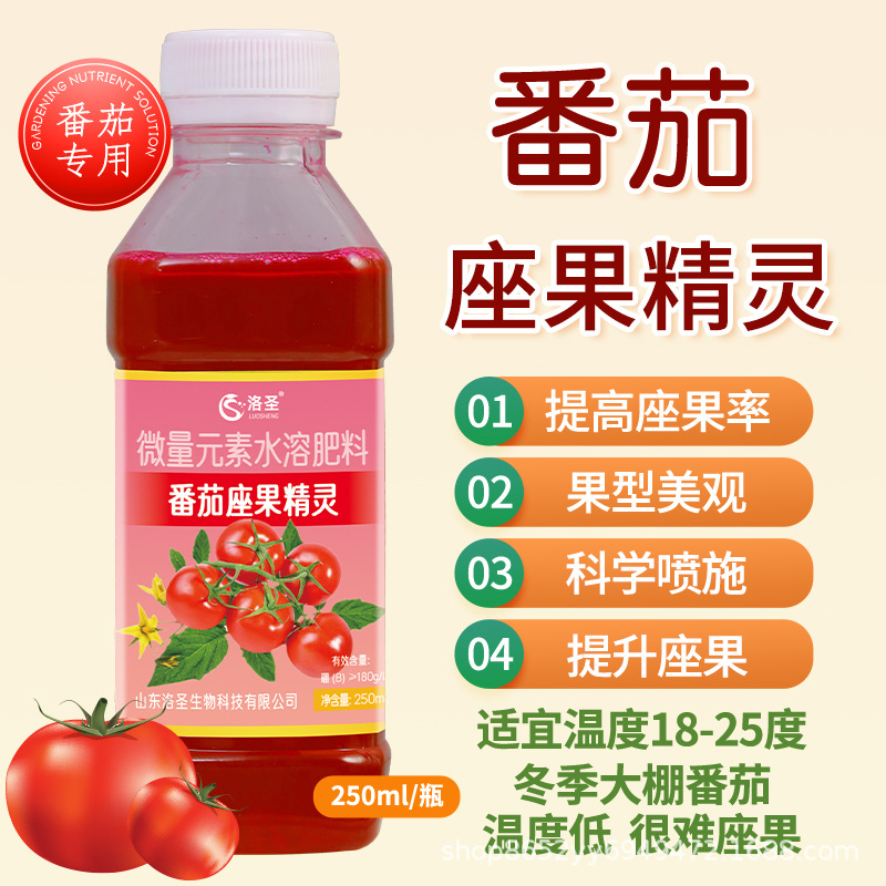 西红柿专用坐果灵小番茄点花喷花授粉座果保花保果落果增产防裂药