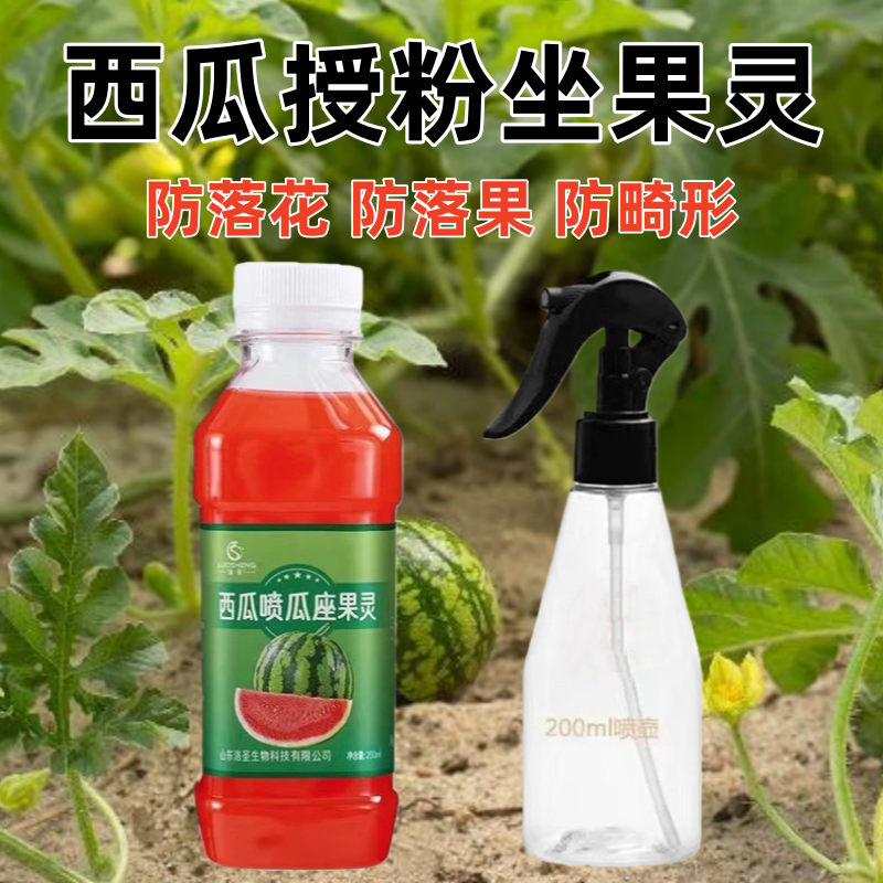 西瓜专用坐果灵点花药喷花沾花做座果灵人工授粉水剂保花保果通用