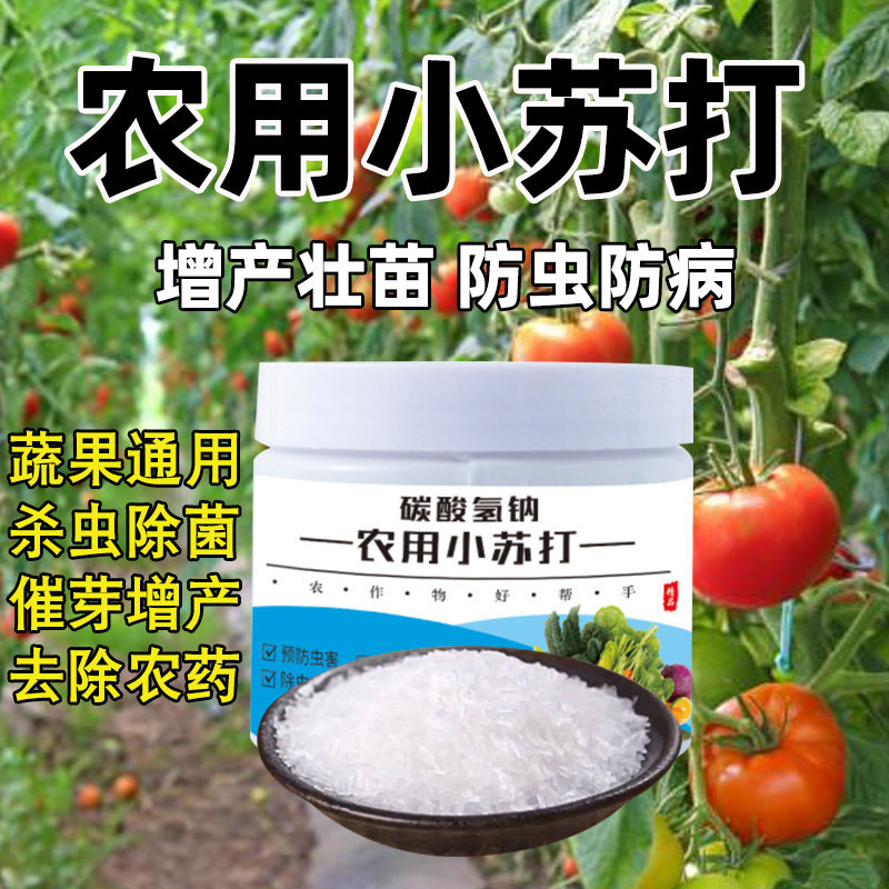 小苏打农用种菜去农药残留农作物防虫害蔬菜果树增产壮苗碳酸氢钠,鲜花速递/花卉仿真/绿植园艺,家庭园艺肥料,淘宝优惠券,粉丝福利购,淘宝优惠卷