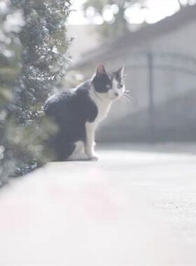 补拍链接 顺丰差价。单独拍无效