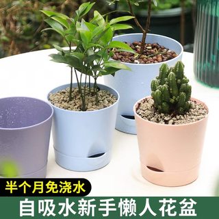 小盆栽花盆塑料桌面种植西瓜草莓自吸水多肉文竹迷你透气盆懒人盆