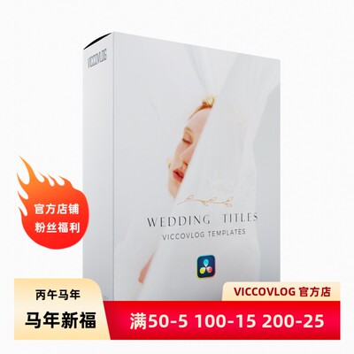 ViccoVlog 达芬奇原创 婚礼标题模板 Wedding Titles