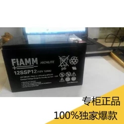 ups意大利通信消防蓄电池