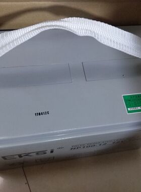 UPS电源通信电源专用正品爱克赛蓄电池NP100-12 EKSI电瓶12v100ah