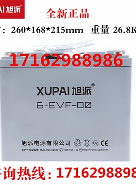 旭派蓄电池6-EVF-80 /12V80AH 道路轨道车 堆高车电动车 铅酸电瓶