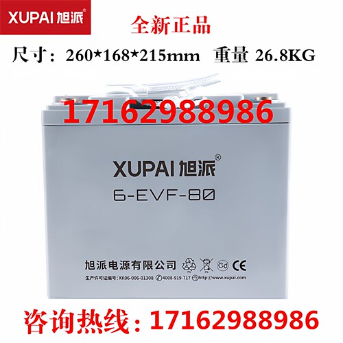 旭派蓄电池6-EVF-80电动车堆高车