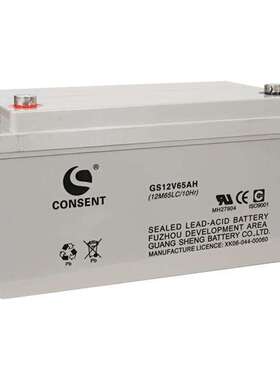 CONSEN光盛蓄电池GS12V65AH 12V65AH航天、航海、铁路专用蓄电池