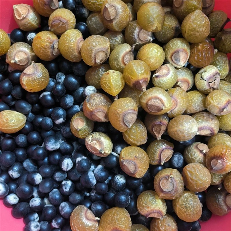 无患子手串配件野k生无患子新果果核 又名菩提子鬼见愁 男女佛珠