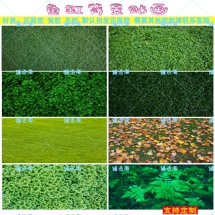 鱼缸背景贴纸草地草坪装饰壁画绿植底部贴画定制水族箱缸外自粘画