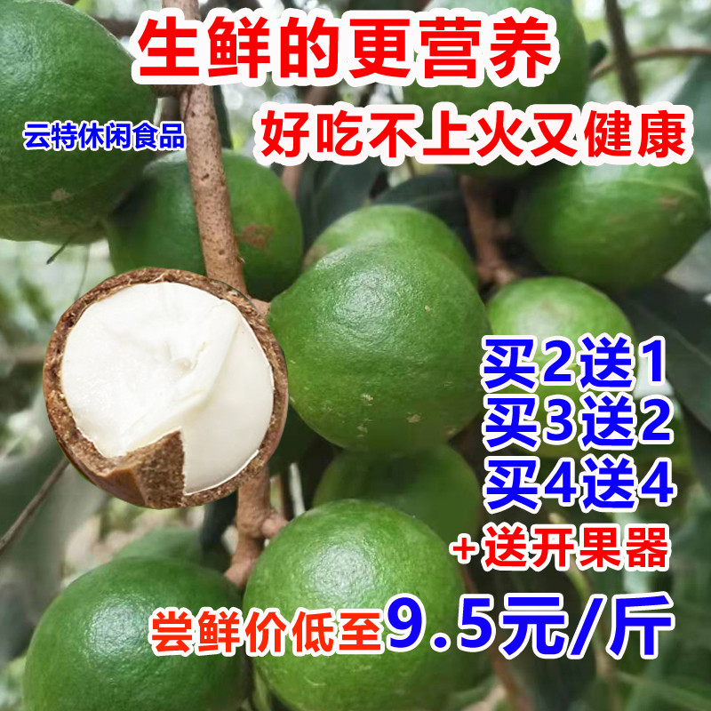 【坏1赔3】云南新鲜夏威夷果原味生果澳洲坚果无添加孕妇营养年货