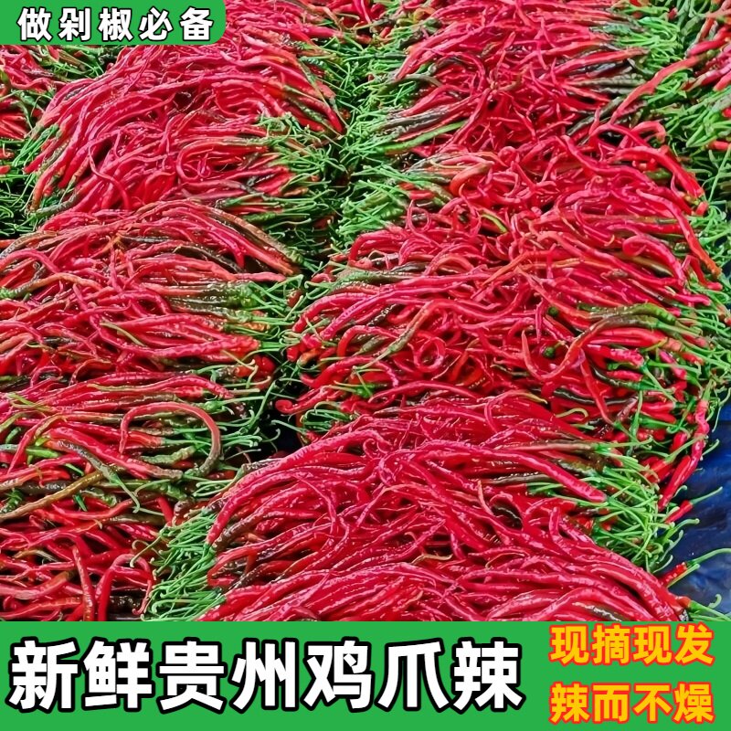贵州新鲜鸡爪辣红辣椒农家露天种植细长剁椒中辣薄皮辣椒产地直发