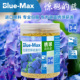 绣球无尽夏奥绿进口Blue Max爱倍施包膜控释硫酸铝酸性颗粒调蓝剂