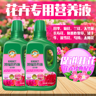 花卉植物开花专用营养液天竺葵芍药木槿长寿梅花缓释催花爆花肥料