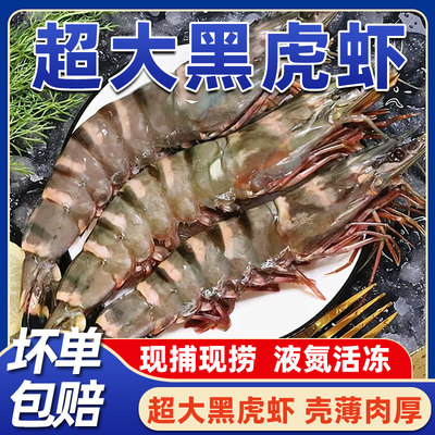 黑虎虾水产海鲜生鲜冷冻