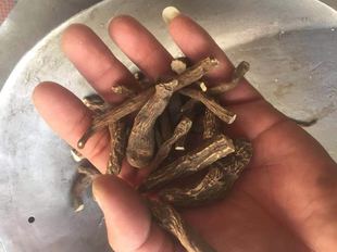 中药材野生天雄天雄别名白幕500g克包邮正宗各种冷背药材